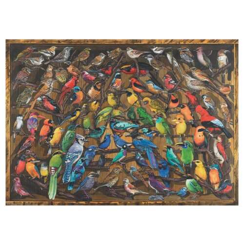 Ravensburger 1000 piece jigsaw puzzle, Rainbow of Birds, featuring a colorful collection of birds from around the world