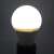LED Bulb 5W A60 E27 6400K 90750434