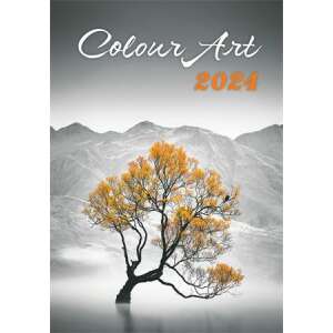 DAYLINER Naptár, fali, DAYLINER "Colour Art" 67547372 - Dayliner