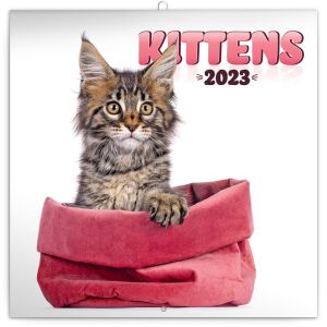 Realsystem 2023 Kittens naptár borítója egy zsákban lévő cicával. - REALSYSTEM