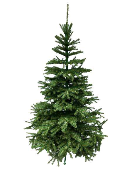 Brad artificial clasic de 1m Evergreen