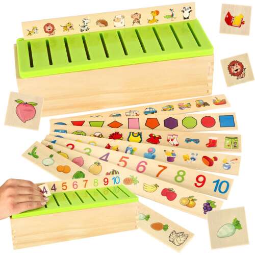 Wooden Sorting Puzzle with Matching Pictures