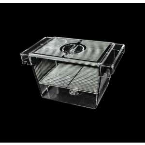 Happet halkeltető, 3in1, 12,5x7x7CM 68020770 - Hal- & Hüllőtartás