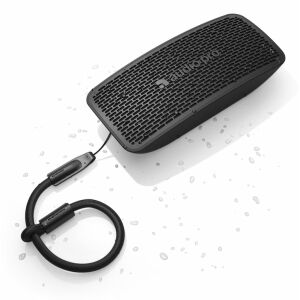 Audio Pro P5 Portable Speaker Black EU 144941147 - Audio