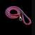 Red and blue braided dog leash with swivel carabiner