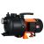 Acquaer EKJ-802I Garden Pump, Black 31879585