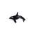 Bullyland 67409 Killer Whale Figurine, black and white, detailed, hand-painted, 8.8cm
