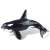 Bullyland 67409 Killer Whale Figurine, black and white, detailed, hand-painted, 8.8cm