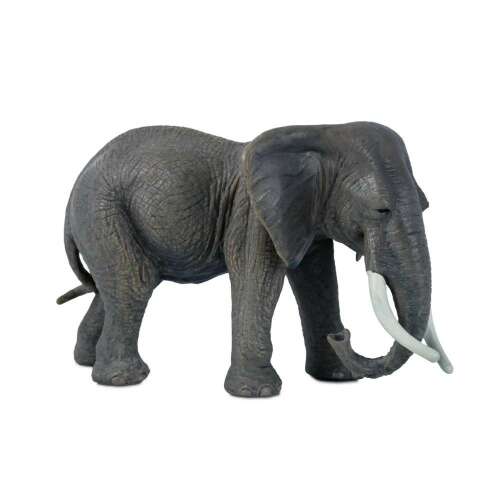 Comansi Little Wild elefánt figura, valósághű játék állat, szürke elefánt figur - Comansi
