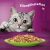 Whiskas Macskaeledel - Halas-Húsos Válogatás - 40 x 85g 163966174