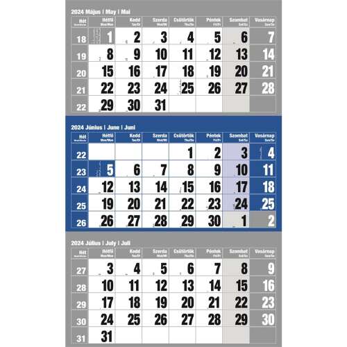 Falinaptár speditőr 1 tömbös 12 lapos 300mmx480mm, üres fejlappal kék Realsystem 2026. 90944144
