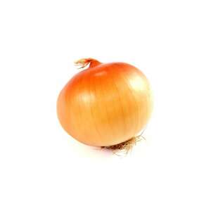 Stuttgart Multiplier Onion 8-14 mm 1 kg /package 68562614 - Landscaping