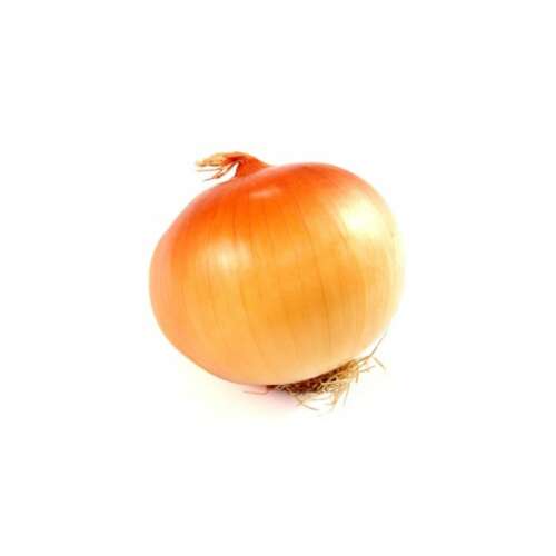 Zwiebel Stuttgartgarter 8-14 mm 1 kg / Packung 68562614