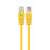 Gembird UTP CAT6 patch kábel, sárga, 0.5m
