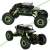 Rock Through 1:18 scale 4WD RC rally car, black and green, collage