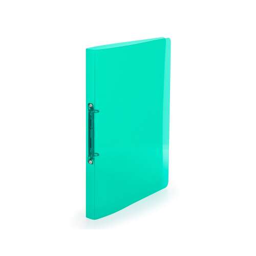 Green A4 ring binder with 2 rings, 2cm spine, transparent PP, cardboard p+p lines