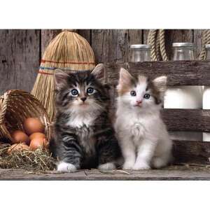 Clementoni 1000 piece jigsaw puzzle featuring two cute kittens - Clementoni Puzzle