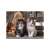 Clementoni 1000 piece jigsaw puzzle featuring two cute kittens