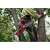 Arborist using Milwaukee M18 FUEL Hatchet chainsaw in tree