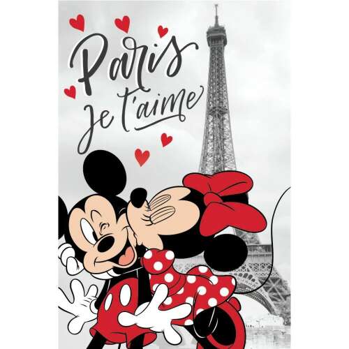 Disney Minnie polár takaró