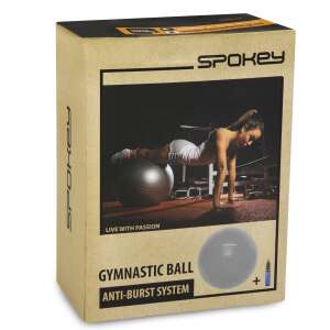 FITBALL lopta na cvičenie 65 cm GY 69228846 Fitness lopty