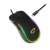 Esperanza Hesperis RGB wired gaming mouse, black with RGB lighting, USB-C connector
