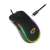 Esperanza Hesperis RGB wired gaming mouse, black with RGB lighting, USB-C connector