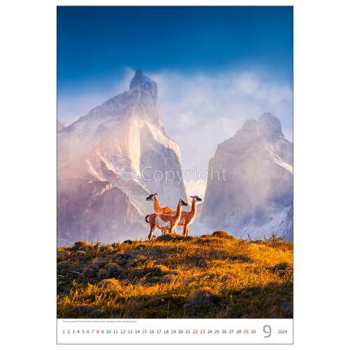 Dayliner Természet Emociók Fali Naptár 2024 - 315x450 mm