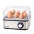 Adler Egg cooker AD4486 77560412