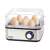 Adler AD4486 egg boiler, 8 eggs, stainless steel