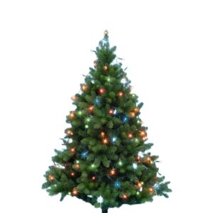 Home by Somogyi Colourful, Wired LED String Light with 100 Bulbs, 9.5m