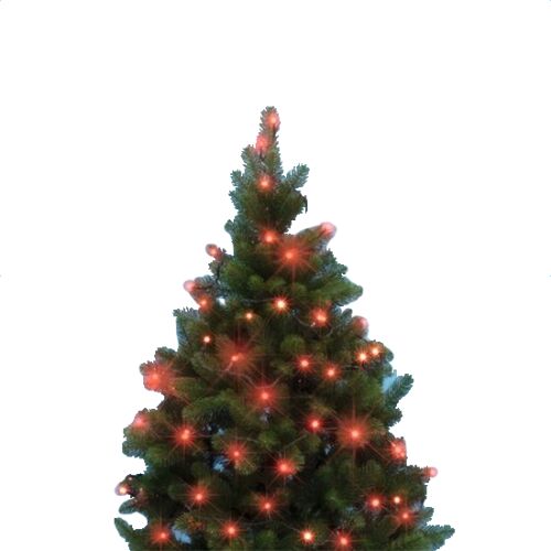 Home by Somogyi czerwone lampki LED, 50 żarówek, 5,5 m, dekoracja choinkowa