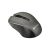 Canyon CNE-CMSW1G Wireless Mouse - Gray