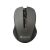 Canyon CNE-CMSW1G Gray Wireless Mouse Top View