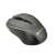 Canyon CNE-CMSW1G Wireless Mouse, Gray