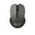 Canyon CNE-CMSW1G Wireless Mouse, Gray