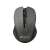 Canyon CNE-CMSW1G Wireless Mouse, Gray
