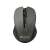 Canyon CNE-CMSW1G Wireless Mouse, Gray