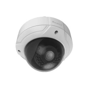 LevelOne FCS-3085 outdoor dome security camera - Security Camera