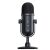 Vorderansicht des dynamischen USB-Mikrofons Razer Seiren V2 Pro