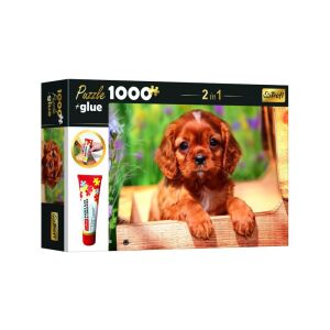 Trefl Welpen Puzzle 1000 Teile Box mit Kleber - Trefl Puzzle