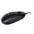 iBOX IKMS606 Black USB Mouse