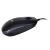 iBOX IKMS606 Black USB Mouse