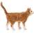 Schleich macska figura, barna-fehér tigris macska, oldalnézet, valósághű állat játék