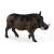 Schleich WILD LIFE Warthog figure, realistic animal toy for kids