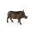 Schleich WILD LIFE Warthog figure, realistic animal toy for kids