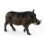 Schleich WILD LIFE Warthog figure, realistic animal toy for kids
