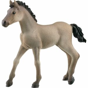 Schleich Criollo Definitivo Foal Figurine, Collectible Toy Horse - Schleich