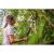 Жена използва Fiskars L86 SmartFit Телескопична ножица за клони в градината