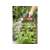 Gardena Prémium tisztító locsolópisztoly, fekete és narancssárga színben, fém fúvókával és csatlakozóval, vízsugarat permetez a kertben